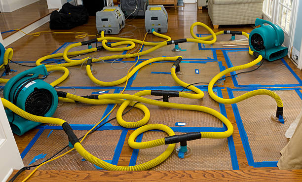 Professional Flood Damage Restoration technician working in Hillsboro, KS