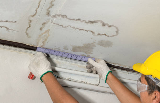Affordable Water Damage Repair solutions in Hillsboro, KS